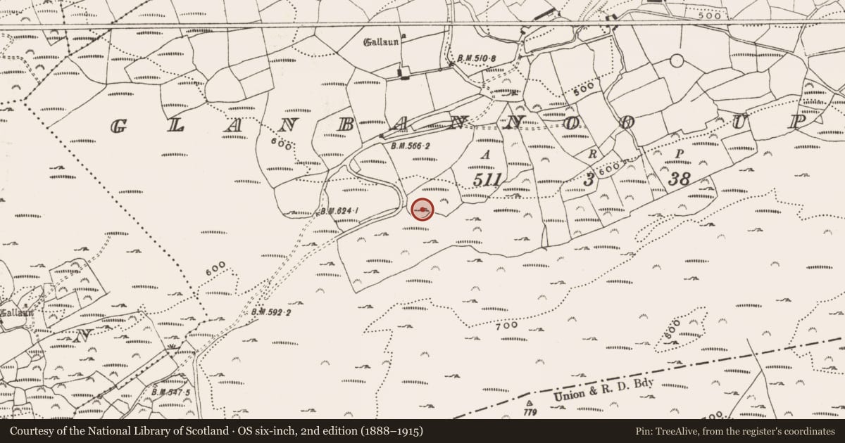 Ordnance Survey six-inch map, 2nd edition (1888–1915) covering the location of Enclosure, Glanbannoo Upper, County Cork, with a pin at the register's coordinates