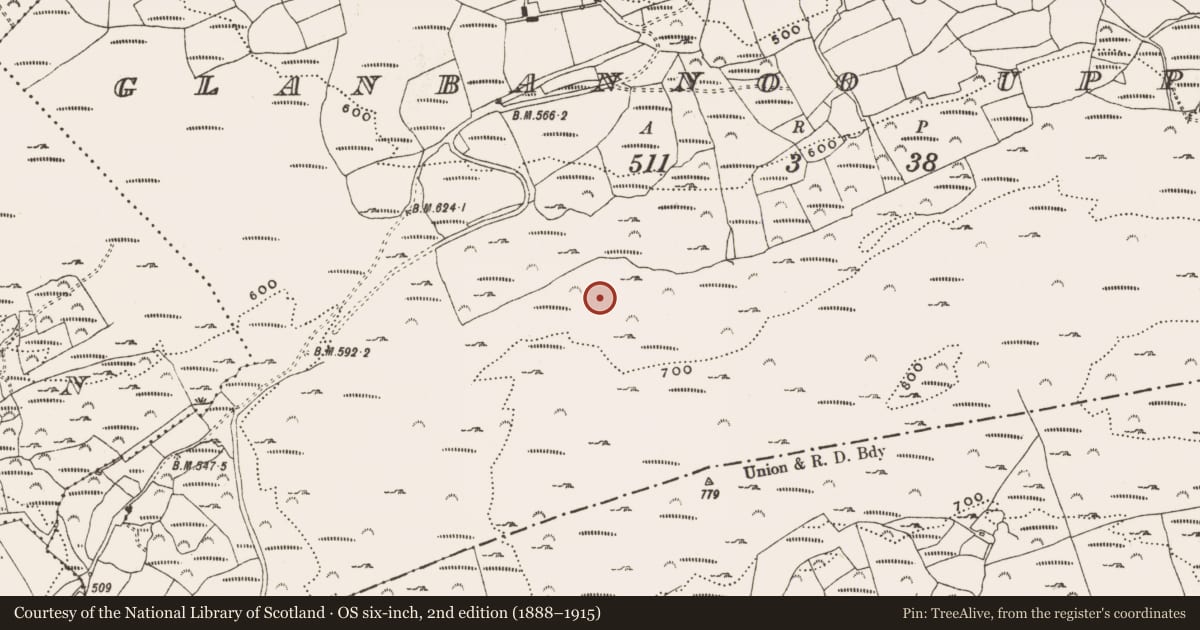 Ordnance Survey six-inch map, 2nd edition (1888–1915) covering the location of Field boundary, Glanbannoo Upper, County Cork, with a pin at the register's coordinates