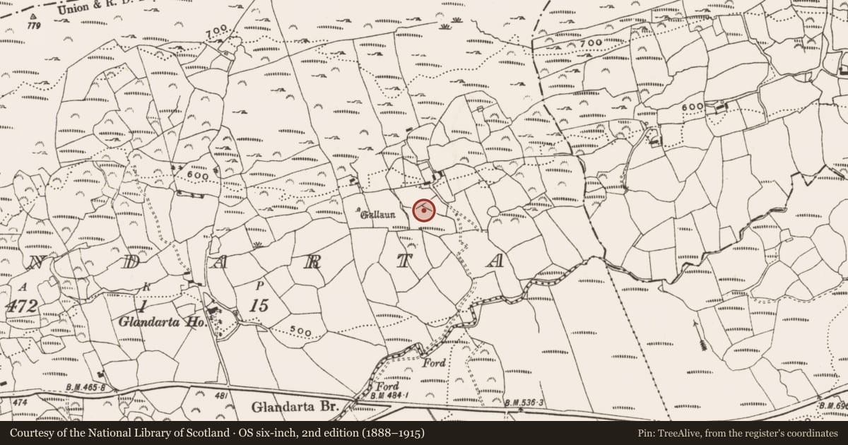 Ordnance Survey six-inch map, 2nd edition (1888–1915) covering the location of Souterrain, Glandarta, County Cork, with a pin at the register's coordinates