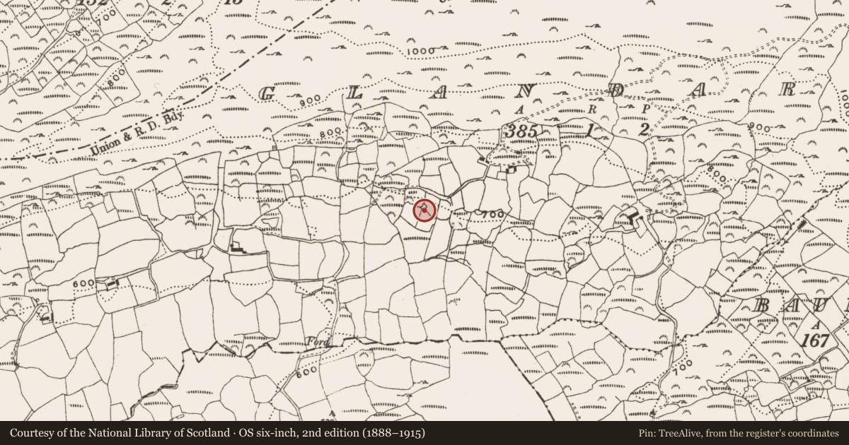 Ordnance Survey six-inch map, 2nd edition (1888–1915) covering the location of Enclosure, Glandart, County Cork, with a pin at the register's coordinates