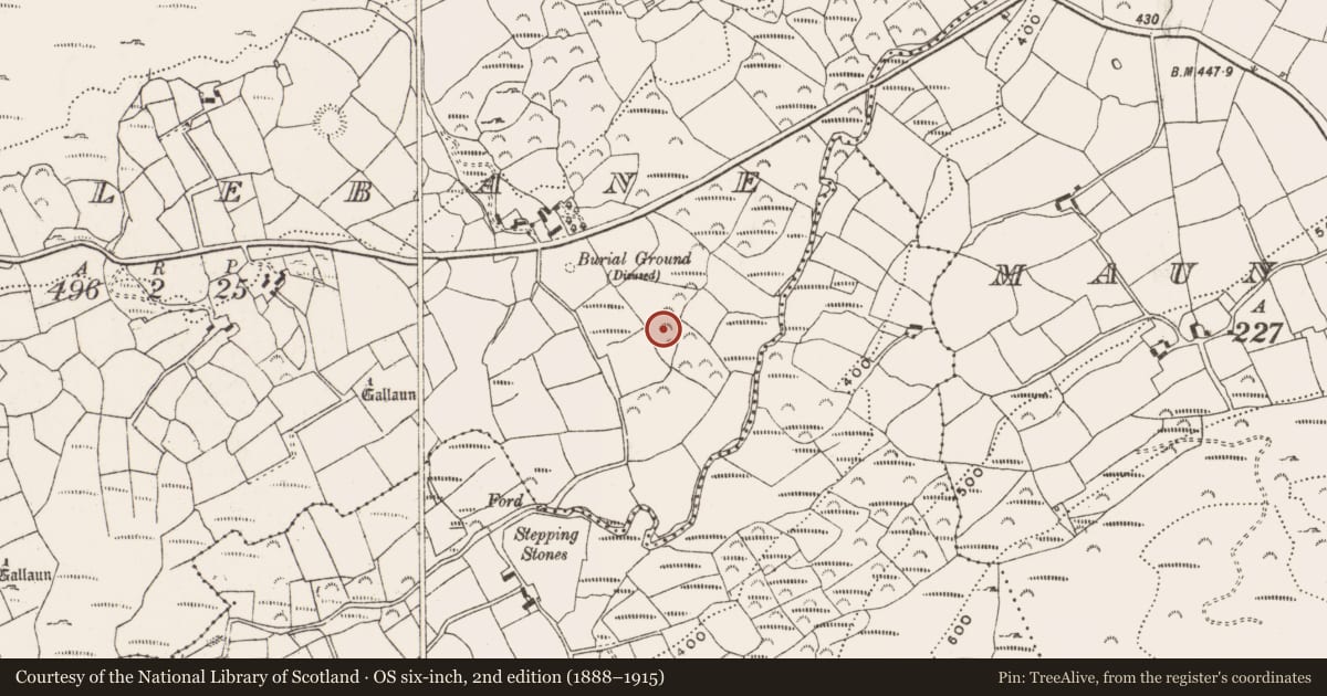 Ordnance Survey six-inch map, 2nd edition (1888–1915) covering the location of Souterrain, Trawlebane, County Cork, with a pin at the register's coordinates
