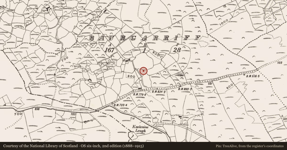 Ordnance Survey six-inch map, 2nd edition (1888–1915) covering the location of Standing stone, Baurgarriff, County Cork, with a pin at the register's coordinates