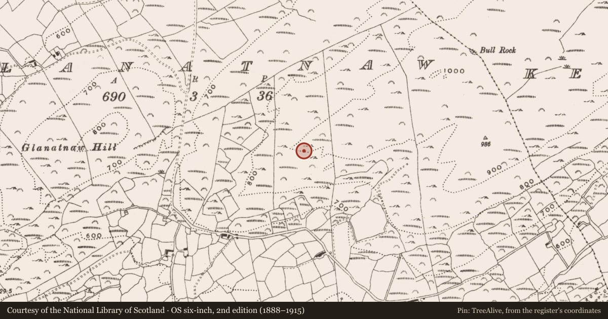 Ordnance Survey six-inch map, 2nd edition (1888–1915) covering the location of Megalithic tomb - wedge tomb, Glanatnaw, County Cork, with a pin at the register's coordinates