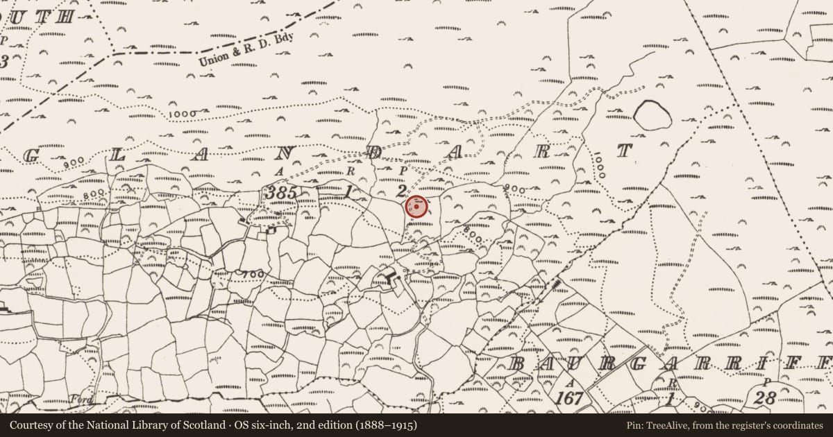 Ordnance Survey six-inch map, 2nd edition (1888–1915) covering the location of Standing stone - pair, Glandart, County Cork, with a pin at the register's coordinates