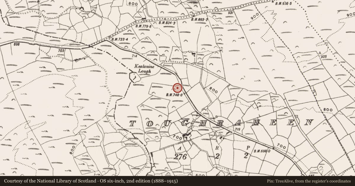 Ordnance Survey six-inch map, 2nd edition (1888–1915) covering the location of Standing stone, Toughraheen, County Cork, with a pin at the register's coordinates