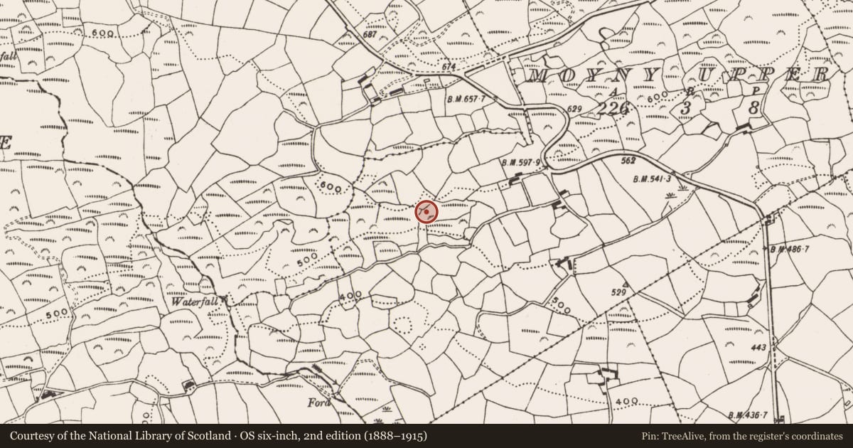Ordnance Survey six-inch map, 2nd edition (1888–1915) covering the location of Standing stone, Moyny Upper, County Cork, with a pin at the register's coordinates