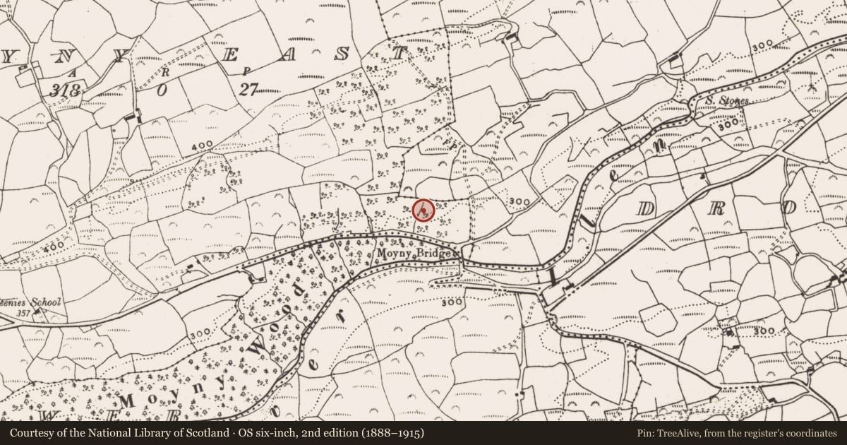 Ordnance Survey six-inch map, 2nd edition (1888–1915) covering the location of Standing stone, Moyny East, County Cork, with a pin at the register's coordinates