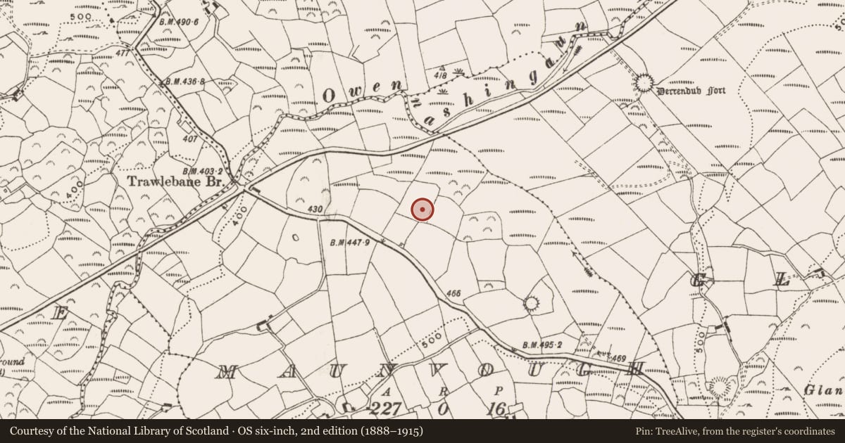 Ordnance Survey six-inch map, 2nd edition (1888–1915) covering the location of Standing stone, Maunvough, County Cork, with a pin at the register's coordinates