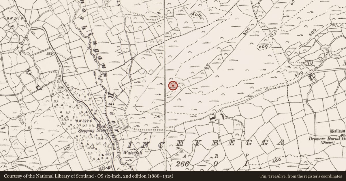 Ordnance Survey six-inch map, 2nd edition (1888–1915) covering the location of Cairn - unclassified, Inchybegga, County Cork, with a pin at the register's coordinates