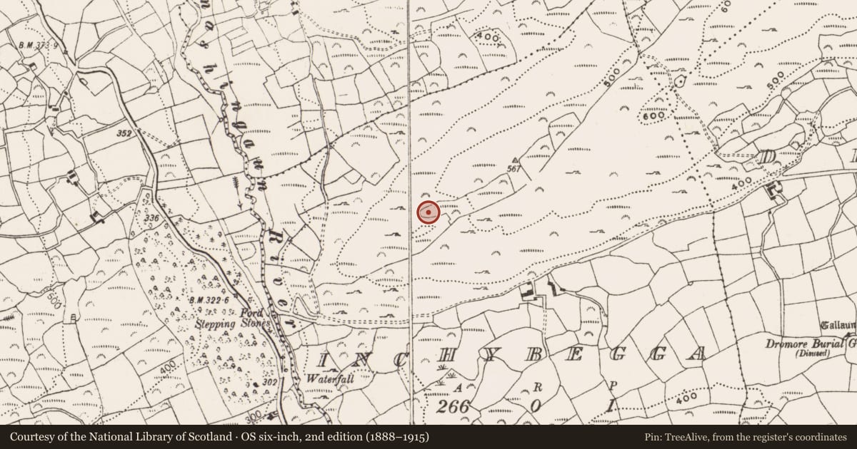 Ordnance Survey six-inch map, 2nd edition (1888–1915) covering the location of Cairn - unclassified, Inchybegga, County Cork, with a pin at the register's coordinates