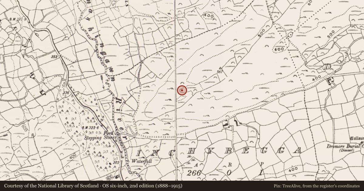 Ordnance Survey six-inch map, 2nd edition (1888–1915) covering the location of Cairn - unclassified, Inchybegga, County Cork, with a pin at the register's coordinates
