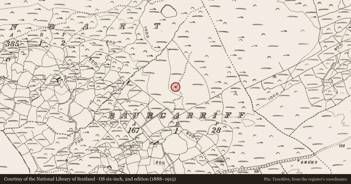 Ordnance Survey six-inch map, 2nd edition (1888–1915) covering the location of Hut site, Baurgarriff, County Cork, with a pin at the register's coordinates
