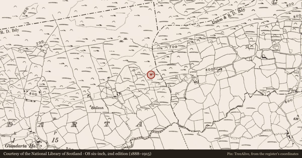 Ordnance Survey six-inch map, 2nd edition (1888–1915) covering the location of Standing stone, Glandart, County Cork, with a pin at the register's coordinates
