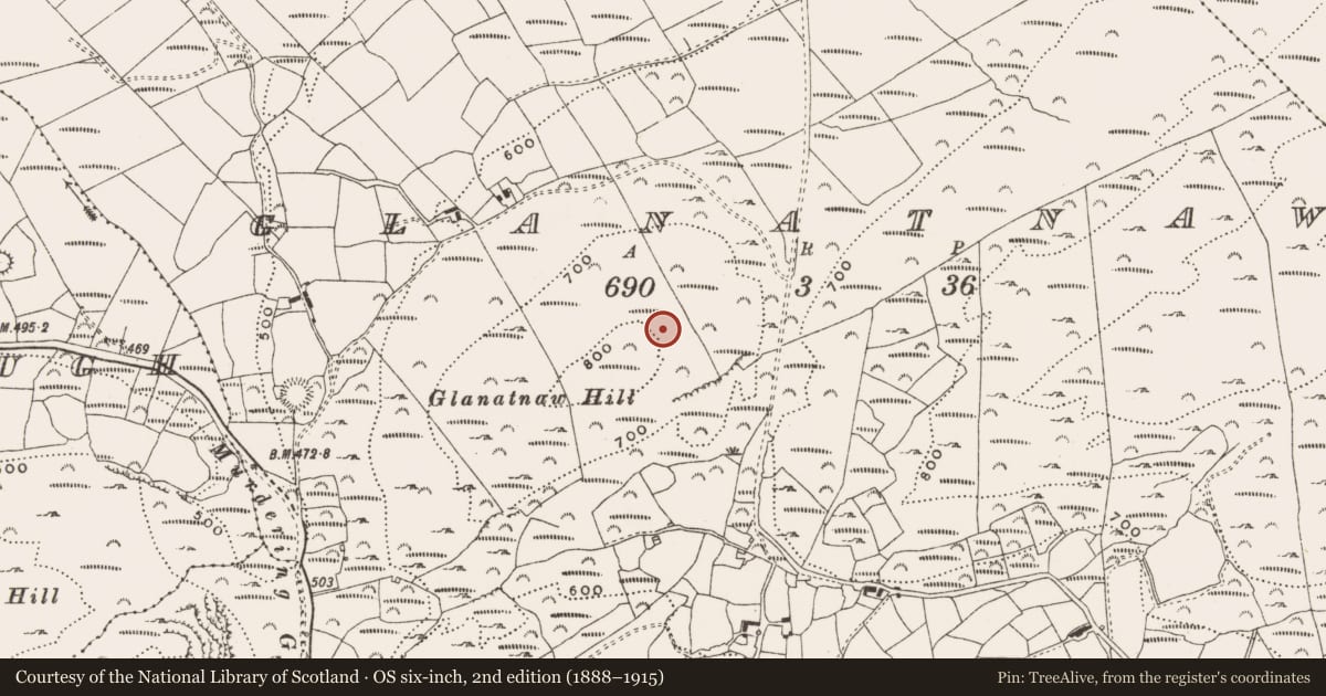 Ordnance Survey six-inch map, 2nd edition (1888–1915) covering the location of Mass-rock, Glanatnaw, County Cork, with a pin at the register's coordinates