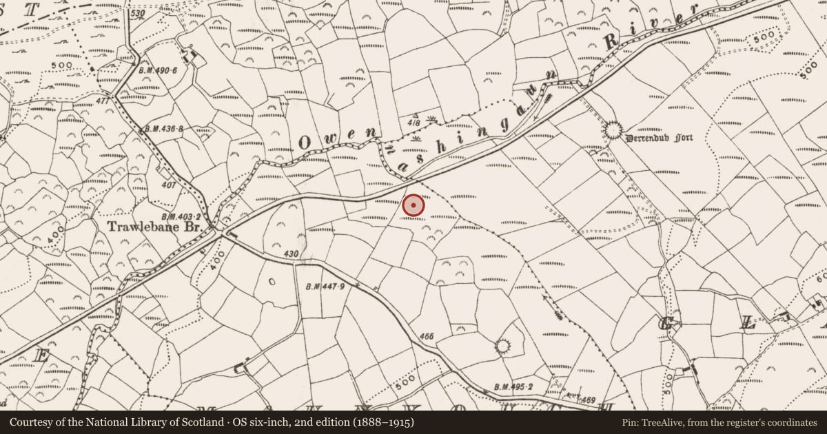 Ordnance Survey six-inch map, 2nd edition (1888–1915) covering the location of Burnt mound, Maunvough, County Cork, with a pin at the register's coordinates