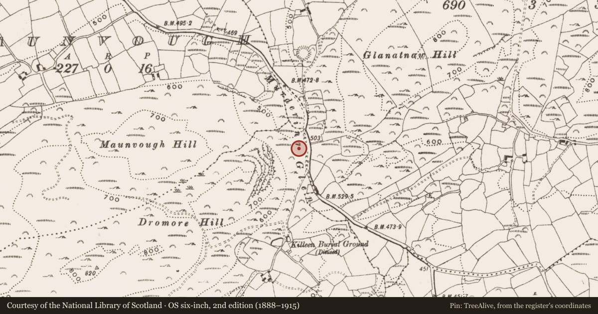 Ordnance Survey six-inch map, 2nd edition (1888–1915) covering the location of Bullaun stone, Dromore, County Cork, with a pin at the register's coordinates