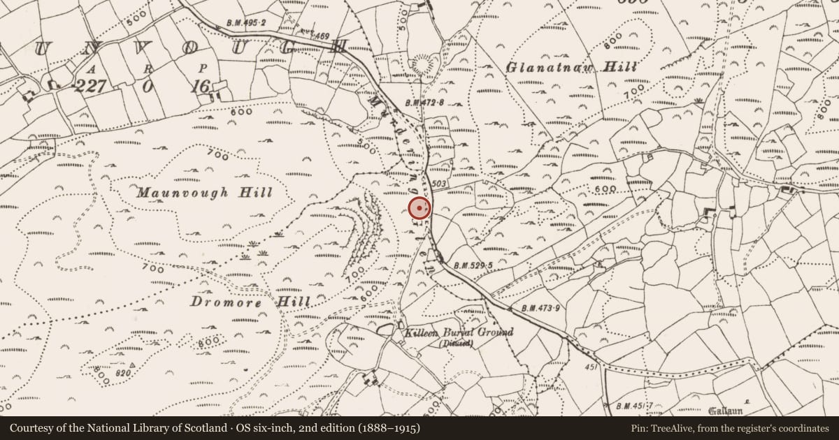 Ordnance Survey six-inch map, 2nd edition (1888–1915) covering the location of Standing stone, Dromore, County Cork, with a pin at the register's coordinates
