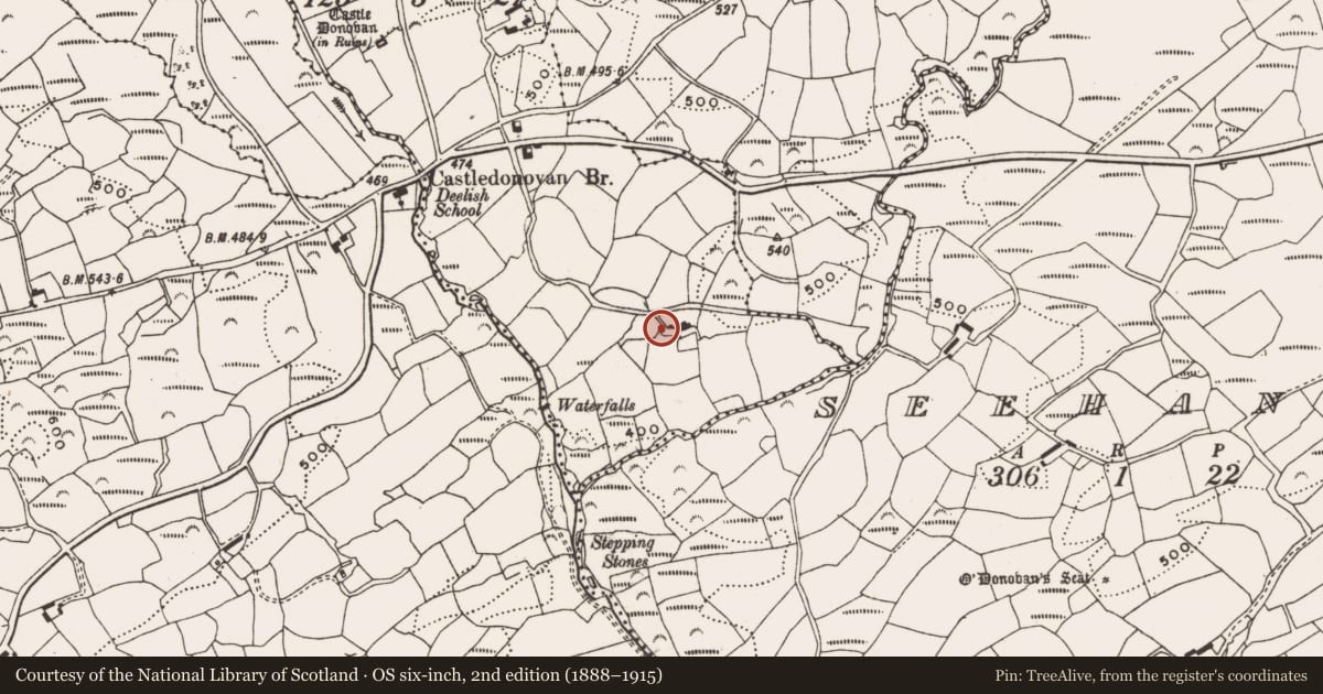 Ordnance Survey six-inch map, 2nd edition (1888–1915) covering the location of Stone row, Castledonovan, County Cork, with a pin at the register's coordinates