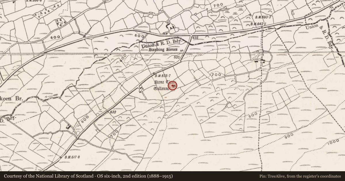 Ordnance Survey six-inch map, 2nd edition (1888–1915) covering the location of Standing stone - pair, Clodagh, County Cork, with a pin at the register's coordinates
