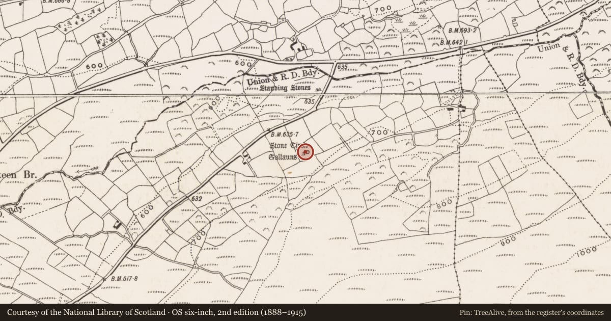 Ordnance Survey six-inch map, 2nd edition (1888–1915) covering the location of Stone circle - five-stone, Clodagh, County Cork, with a pin at the register's coordinates