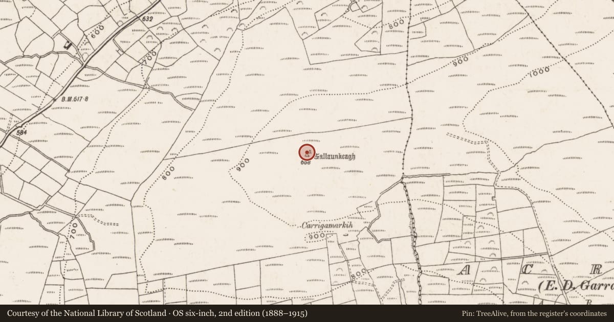 Ordnance Survey six-inch map, 2nd edition (1888–1915) covering the location of Standing stone, Clodagh, County Cork, with a pin at the register's coordinates