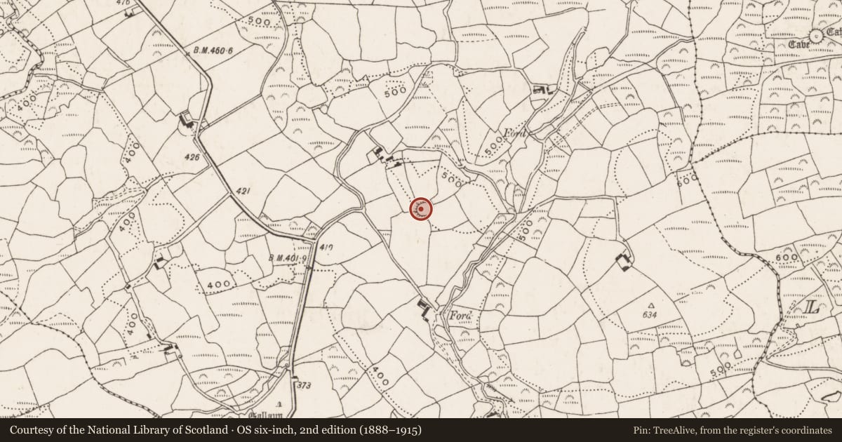 Ordnance Survey six-inch map, 2nd edition (1888–1915) covering the location of Ringfort - rath, Clodagh, County Cork, with a pin at the register's coordinates