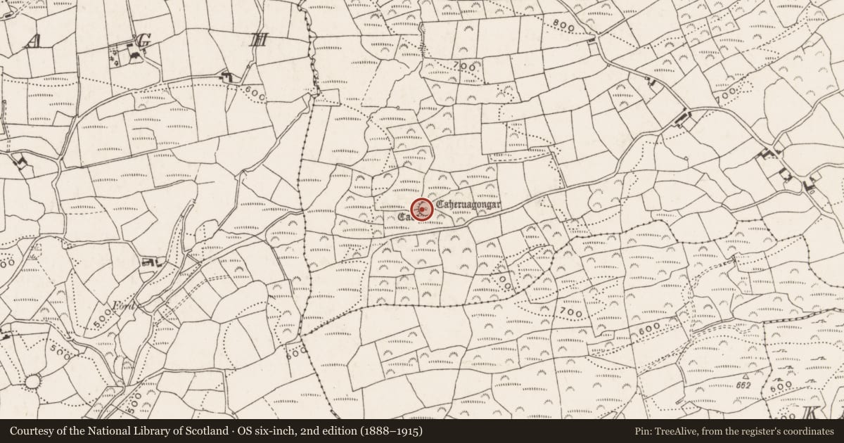 Ordnance Survey six-inch map, 2nd edition (1888–1915) covering the location of Souterrain, Acres (Carbery West By., Dromdaleague Par.), County Cork, with a pin at the register's coordinates