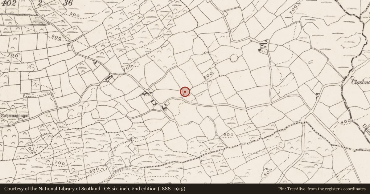 Ordnance Survey six-inch map, 2nd edition (1888–1915) covering the location of Ringfort - rath, Acres (Carbery West By., Dromdaleague Par.), County Cork, with a pin at the register's coordinates