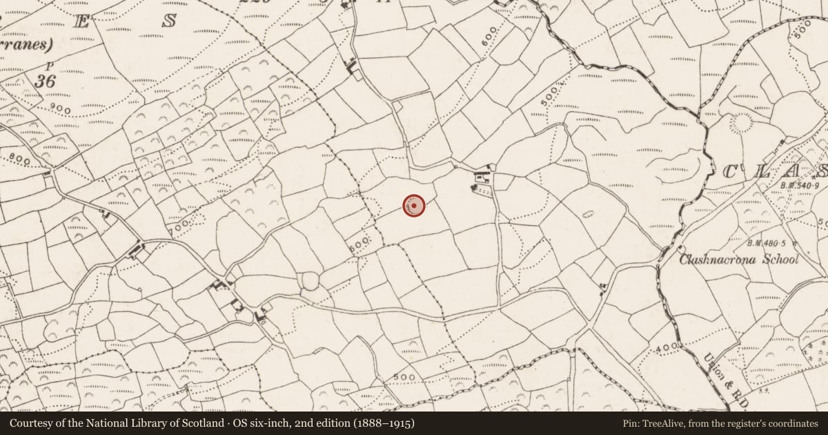 Ordnance Survey six-inch map, 2nd edition (1888–1915) covering the location of Ringfort - rath, Knockeenbwee Upper, County Cork, with a pin at the register's coordinates