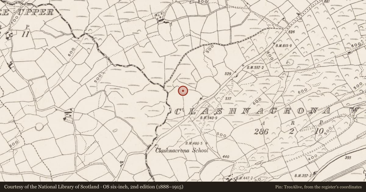 Ordnance Survey six-inch map, 2nd edition (1888–1915) covering the location of Ringfort - rath, Clashnacrona West, County Cork, with a pin at the register's coordinates