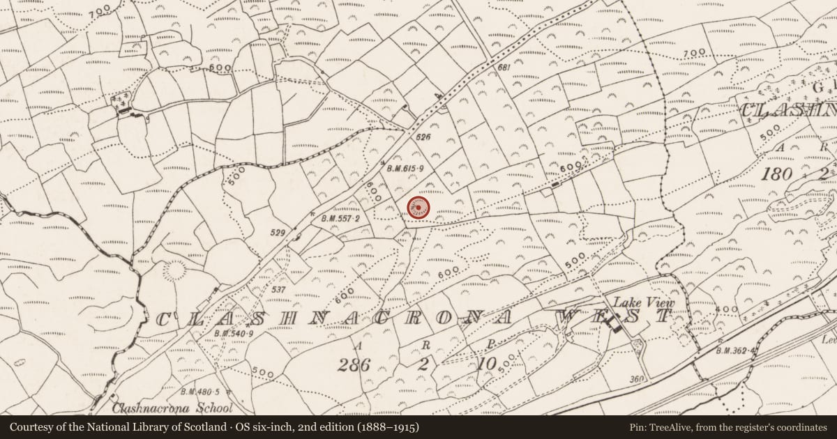 Ordnance Survey six-inch map, 2nd edition (1888–1915) covering the location of Ringfort - rath, Clashnacrona West, County Cork, with a pin at the register's coordinates