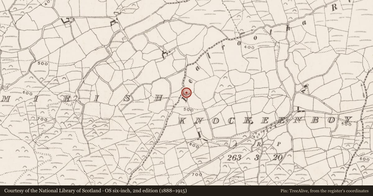 Ordnance Survey six-inch map, 2nd edition (1888–1915) covering the location of Ringfort - rath, Knockeenboy, County Cork, with a pin at the register's coordinates
