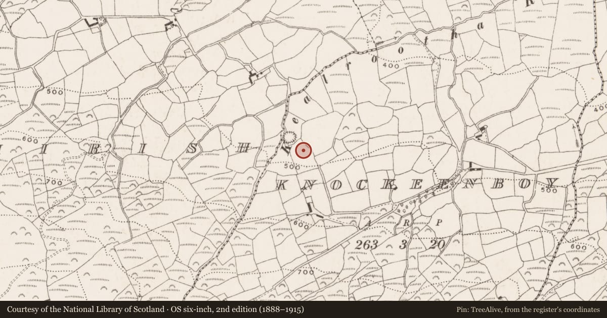 Ordnance Survey six-inch map, 2nd edition (1888–1915) covering the location of Souterrain, Knockeenboy, County Cork, with a pin at the register's coordinates