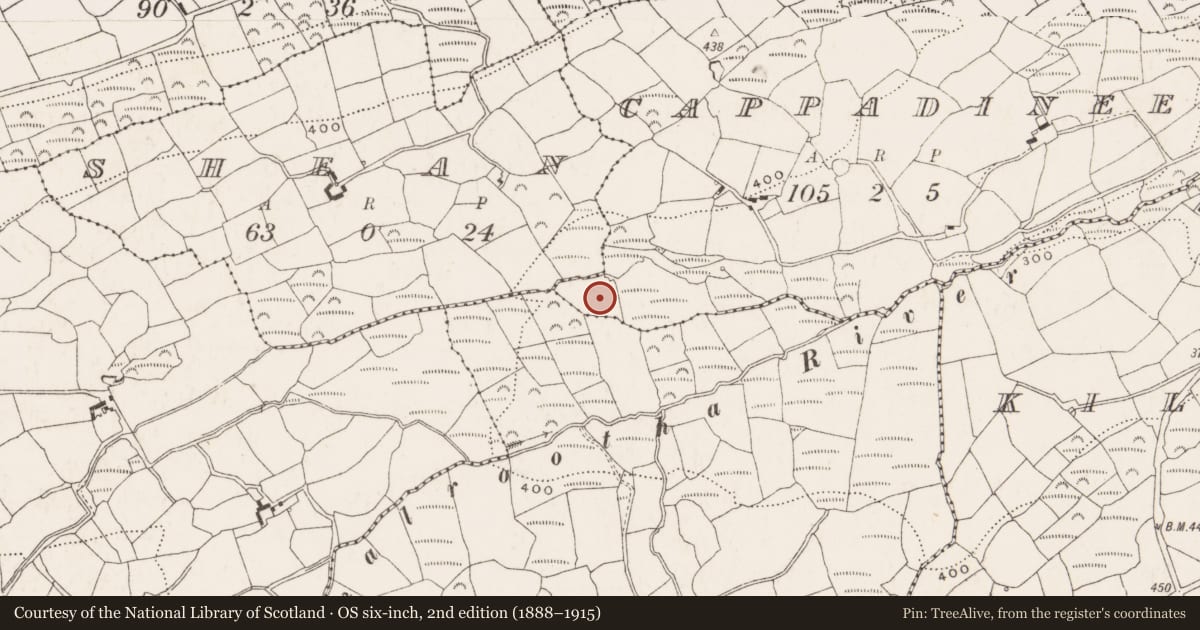 Ordnance Survey six-inch map, 2nd edition (1888–1915) covering the location of Mound, Cappadineen, County Cork, with a pin at the register's coordinates