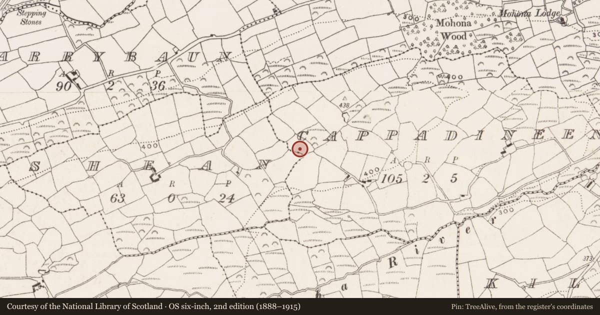 Ordnance Survey six-inch map, 2nd edition (1888–1915) covering the location of Ringfort - unclassified, Cappadineen, County Cork, with a pin at the register's coordinates