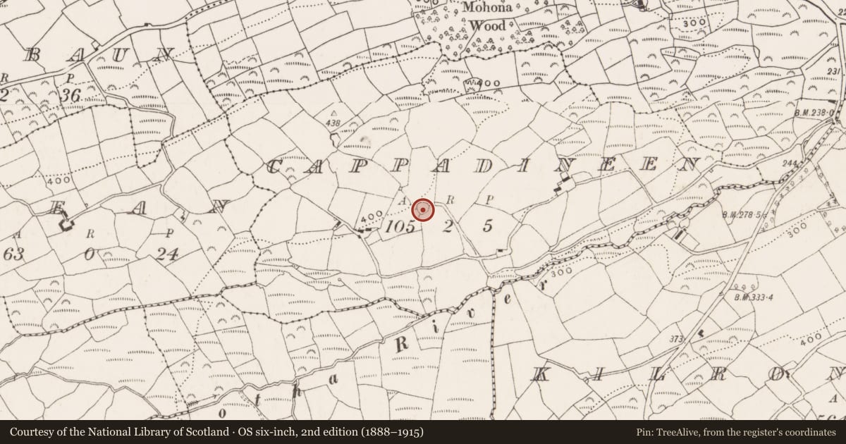 Ordnance Survey six-inch map, 2nd edition (1888–1915) covering the location of Ringfort - rath, Cappadineen, County Cork, with a pin at the register's coordinates