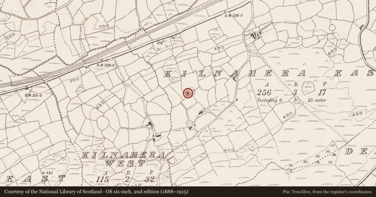 Ordnance Survey six-inch map, 2nd edition (1888–1915) covering the location of Ringfort - rath, Kilnahera East, County Cork, with a pin at the register's coordinates