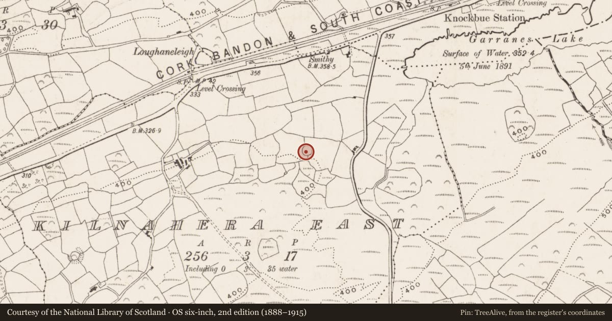 Ordnance Survey six-inch map, 2nd edition (1888–1915) covering the location of Ringfort - rath, Kilnahera East, County Cork, with a pin at the register's coordinates