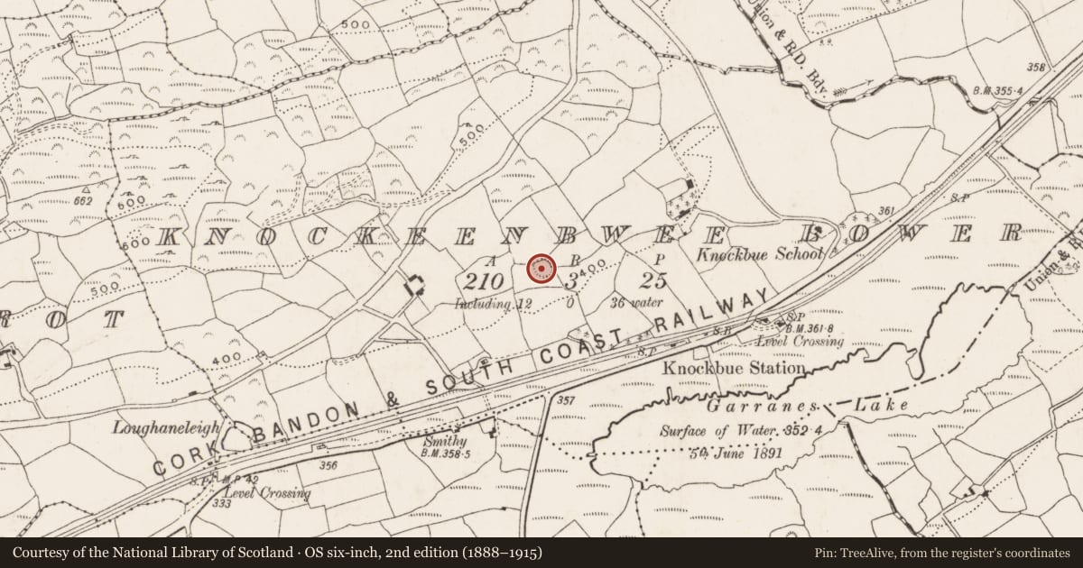 Ordnance Survey six-inch map, 2nd edition (1888–1915) covering the location of Ringfort - rath, Knockeenbwee Lower, County Cork, with a pin at the register's coordinates