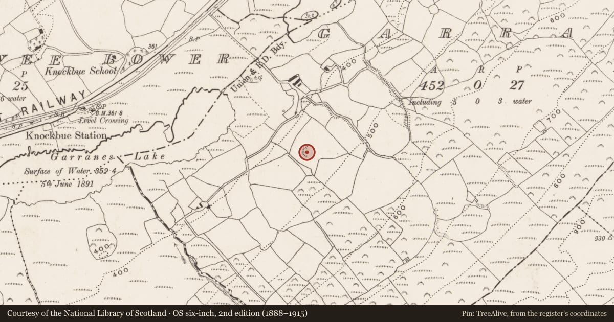 Ordnance Survey six-inch map, 2nd edition (1888–1915) covering the location of Ringfort - rath, Garranes, County Cork, with a pin at the register's coordinates