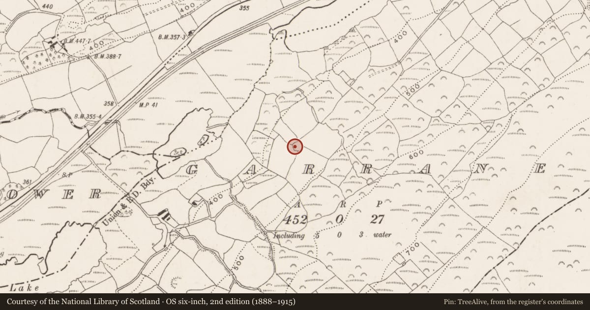 Ordnance Survey six-inch map, 2nd edition (1888–1915) covering the location of Ringfort - rath, Garranes, County Cork, with a pin at the register's coordinates