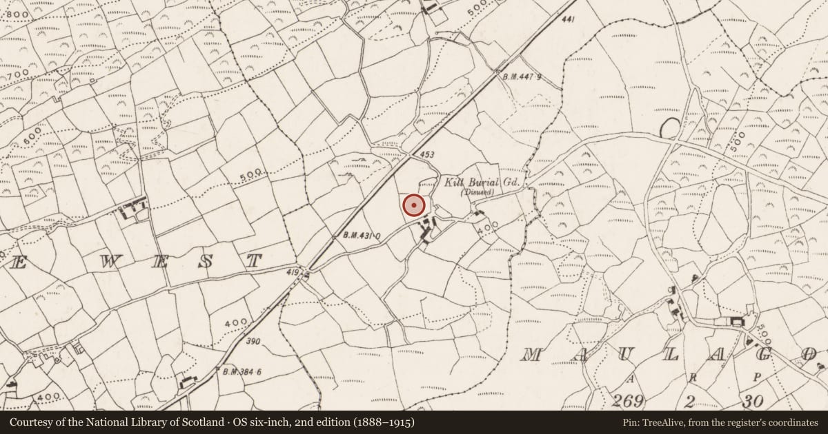 Ordnance Survey six-inch map, 2nd edition (1888–1915) covering the location of Souterrain, Killaveenoge East, County Cork, with a pin at the register's coordinates