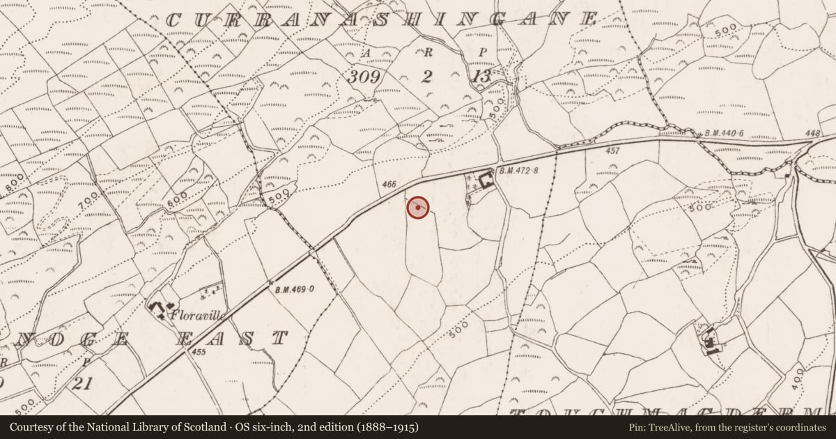 Ordnance Survey six-inch map, 2nd edition (1888–1915) covering the location of Souterrain, Curranashingane, County Cork, with a pin at the register's coordinates