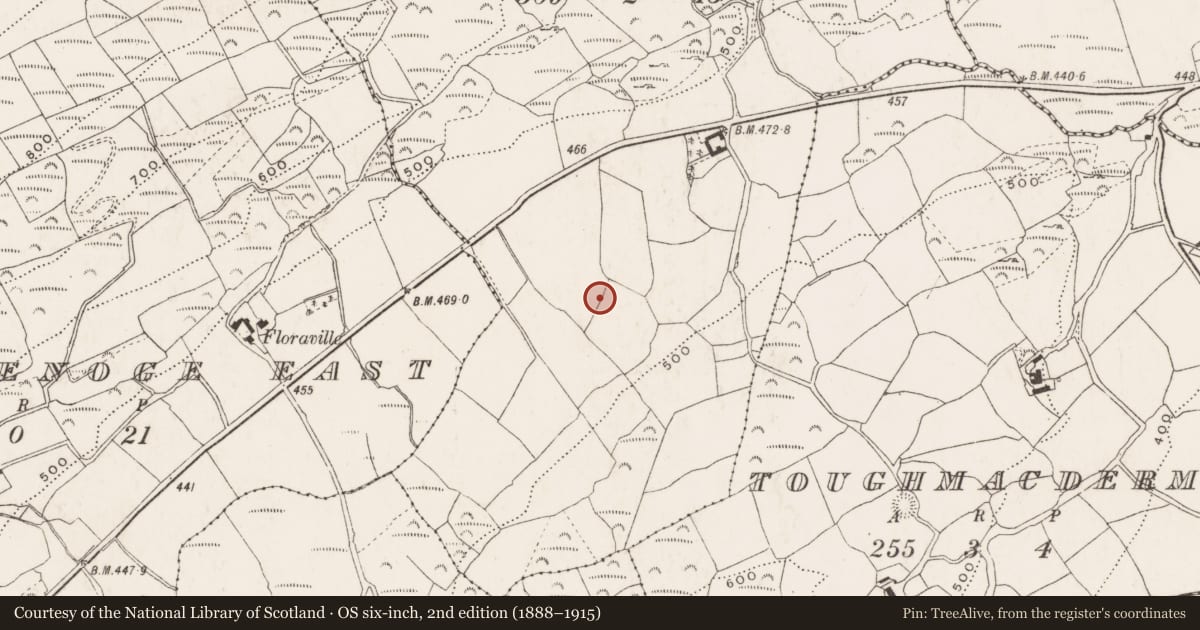 Ordnance Survey six-inch map, 2nd edition (1888–1915) covering the location of Souterrain, Curranashingane, County Cork, with a pin at the register's coordinates