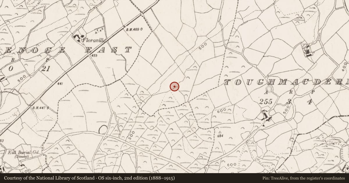 Ordnance Survey six-inch map, 2nd edition (1888–1915) covering the location of Ringfort - rath, Curranashingane, County Cork, with a pin at the register's coordinates