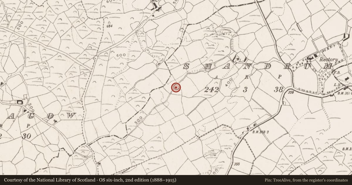 Ordnance Survey six-inch map, 2nd edition (1888–1915) covering the location of Ringfort - rath, Shandrum, County Cork, with a pin at the register's coordinates