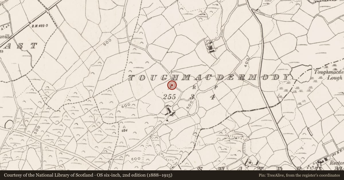 Ordnance Survey six-inch map, 2nd edition (1888–1915) covering the location of Ringfort - rath, Toughmacdermody, County Cork, with a pin at the register's coordinates