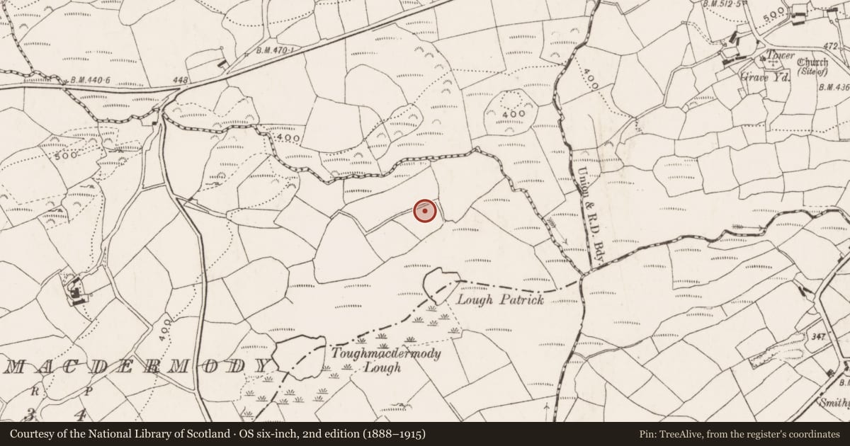 Ordnance Survey six-inch map, 2nd edition (1888–1915) covering the location of Graveyard, Toughmacdermody, County Cork, with a pin at the register's coordinates