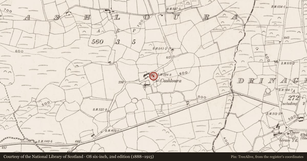 Ordnance Survey six-inch map, 2nd edition (1888–1915) covering the location of Souterrain, Cashloura, County Cork, with a pin at the register's coordinates