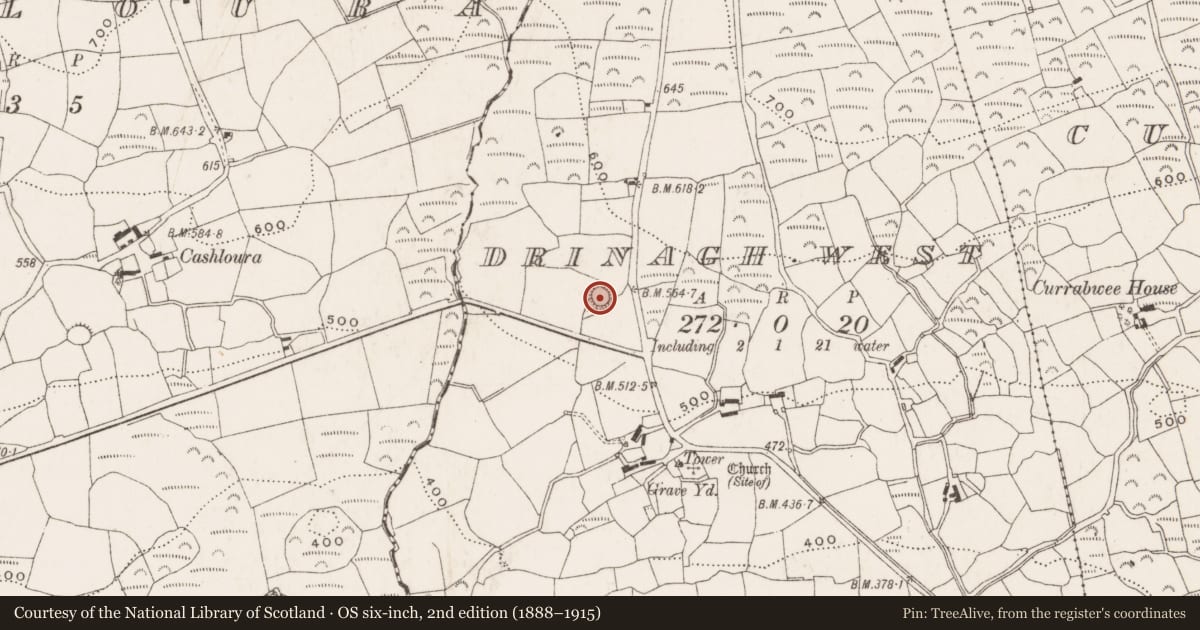 Ordnance Survey six-inch map, 2nd edition (1888–1915) covering the location of Cupmarked stone, Drinagh West, County Cork, with a pin at the register's coordinates